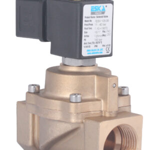 Solenoid Valfler